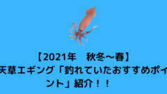 21年 春 日中のエギのおススメ下地カラーを知りたい 楽しむ釣りやアウトドアの栞